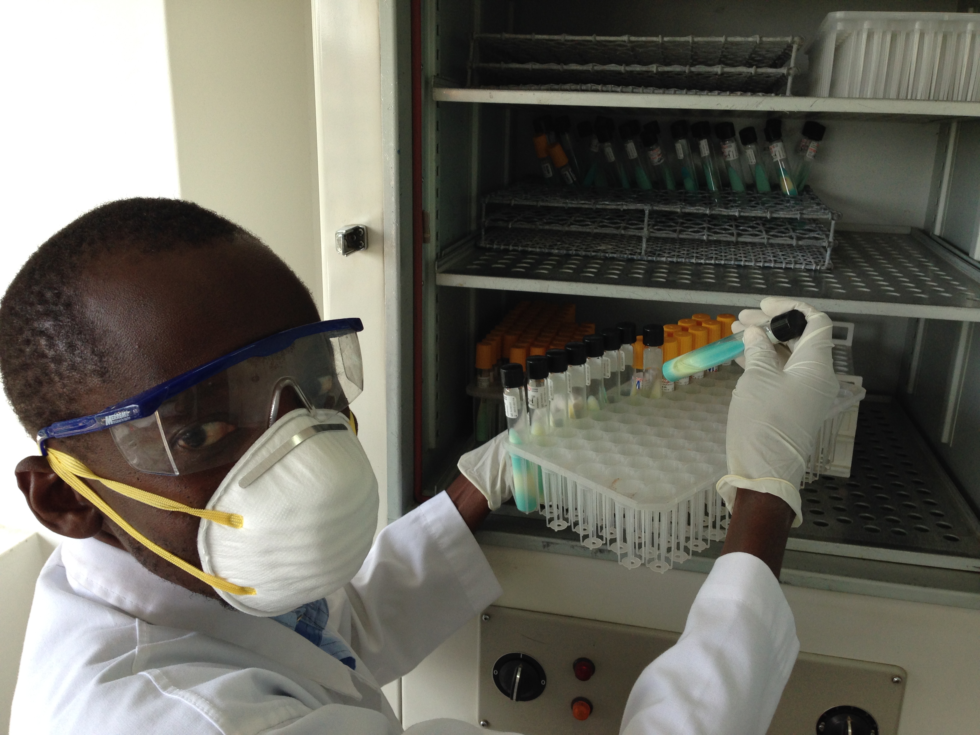 Clinical Laboratory Testing in Mwanza, Tanzania